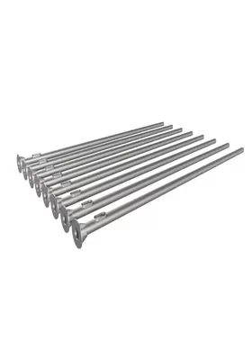 Galvani sierter Pole