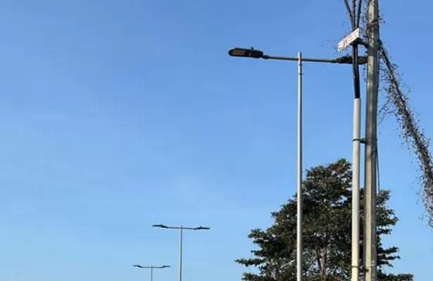 Langfristige Marken partnerschaft Fall | Strategische ODM/OEM-Zusammenarbeit in der intelligenten Photovoltaik-Beleuchtung